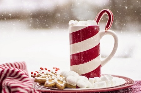 cup of hot drink with marshmallows and candy cane with biscuits on a plate